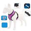 Ver imagem 4 de Coleira Peitoral Refletivo com Guia Cachorro Cães Gato Pet Azul:xl(gg)