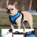 Ver imagem 2 de Coleira Peitoral Refletivo com Guia Cachorro Cães Gato Pet Azul:xl(gg)