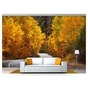 Ver imagem 1 de Papel De Parede Estrada Caminho Floresta 3D Nes087 3M²