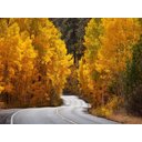 Ver imagem 2 de Papel De Parede Estrada Caminho Floresta 3D Nes087 3M²