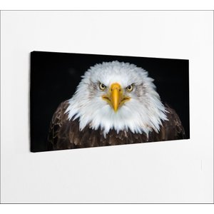 Quadros Decorativos de Pvc 008 - 100 X 50 Cm