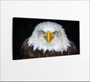 Ver imagem 1 de Quadros Decorativos de Pvc 008 - 100 X 50 Cm