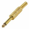 Plug P10 Mono Metalico Dourado com Mola - 2