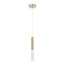 Lustre Pendente Astraled Crateris Pt-9104 Dourado Led Bivolt Dourado Pt-9104 - 1