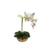 Arranjo de Orquídea Branca no Vaso Espelhado Dourado - 1