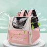 Mochila Bolsa Transporte Gato Pet Animais Estimaçao Visao Panoramica Pequeno Medio Porte Viagem Pass - 9