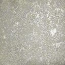 Ver imagem 1 de Papel de Parede Classici 6 Textura Verde 6a096908r