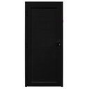 Ver imagem 1 de Porta lambril america com fechadura Preto maxx E - 230X120