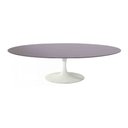 Ver imagem 1 de Mesa Saarinen Oval Centro São Gabriel 120x80cm - Base Branca mgsaarinen
