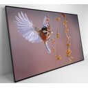 Ver imagem 6 de Quadro Beija Flor Decor&quadros Nat059