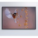 Ver imagem 7 de Quadro Beija Flor Decor&quadros Nat059