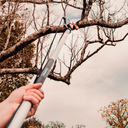 Ver imagem 5 de Serrote Podador de Galhos Profissional Tramontina 13