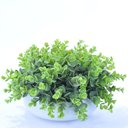 Ver imagem 2 de Arranjo de Eucaliptos Artificiais em Vaso Branco Noah