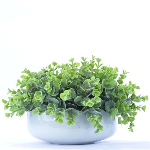 Arranjo de Eucaliptos Artificiais em Vaso Branco Noah