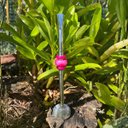 Ver imagem 7 de Bomba Chimarrão Purinox Pedra Tripla Natural em Aço Inox 304