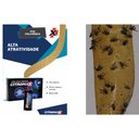 Ver imagem 2 de Kit 24 Fitas Cola Moscas