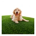 Ver imagem 3 de Grama Sintetica 12mm ( 25m²)