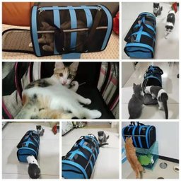 Bolsa Transporte Gato Cachorro Cao Pet Faixa Refletiva Pequeno Porte Animal de Estimaçao Segurança C - 3