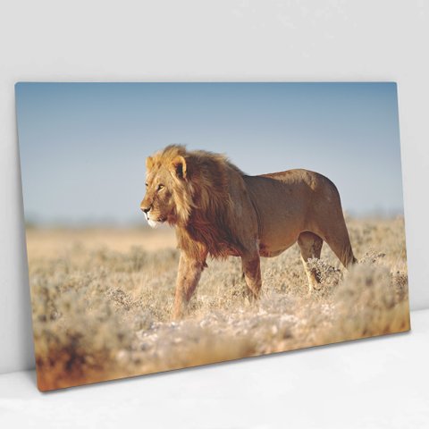 Quadro Decorativo em Canvas Leão Selvagem - Moldura Madeira - 120 x 80cm