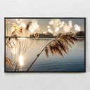Ver imagem 1 de Quadro Decorativo Juncos no Lago ao Amanhecer Com Moldura e Sem Vidro 90x140