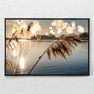 Quadro Decorativo Juncos no Lago ao Amanhecer Com Moldura e Sem Vidro 90x140