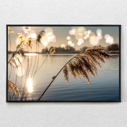 Quadro Decorativo Juncos no Lago ao Amanhecer Com Moldura e Sem Vidro 90x140