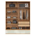Ver imagem 4 de Guarda Roupa 180cm 4 Portas com Gavetas Dalla Costa 100% Mdf Cor:freijó com Off White
