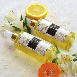 Home SPRAY 250ML Essencia Mandarina e Canela Greenswet - 2