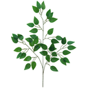 Ver imagem 1 de 12 Folhas de Fícus Silicone Galho Folhagem Jardim Vertical