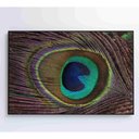 Ver imagem 2 de Quadro Penas De Pavão 120x80 Cm Tecido Canvas