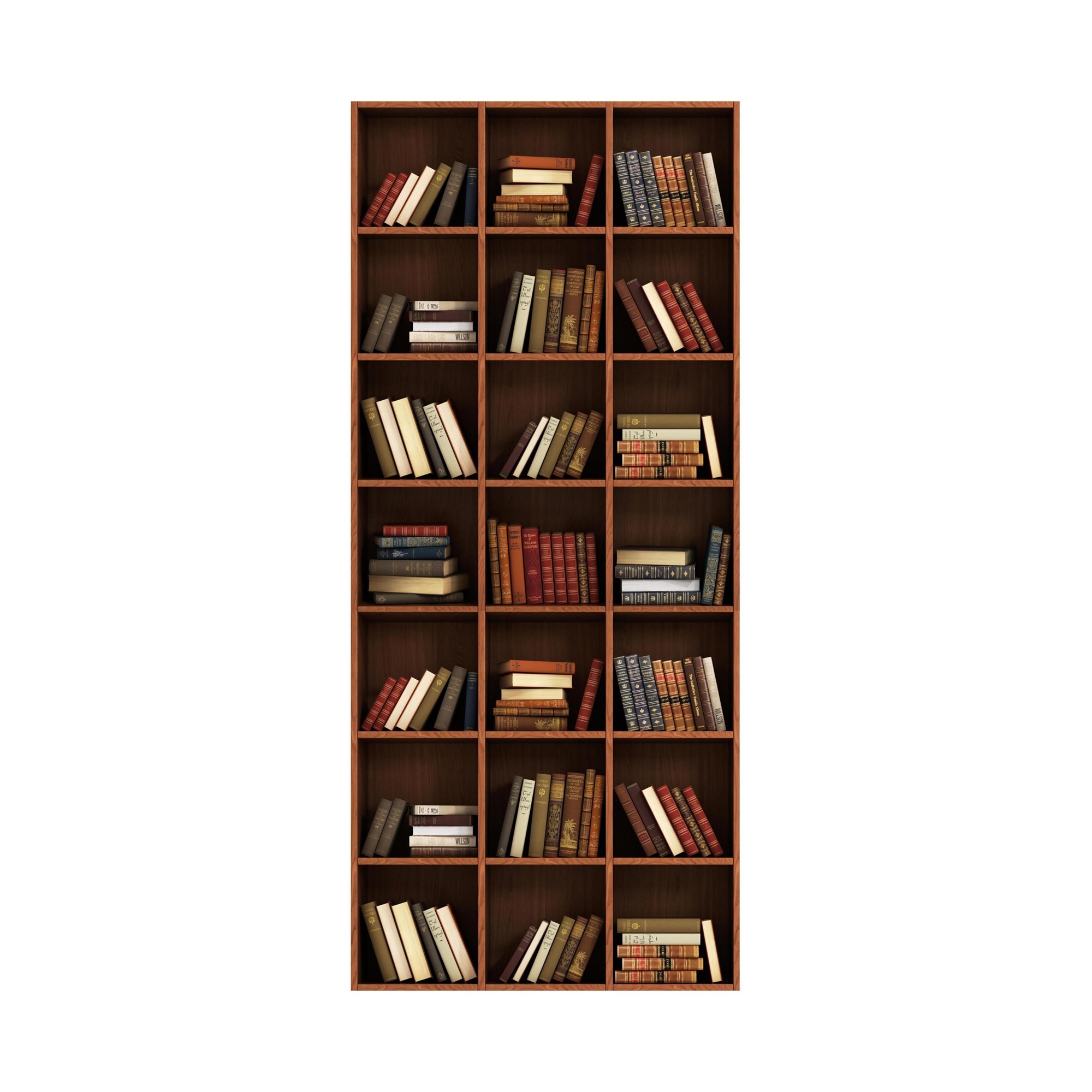 Adesivo Decorativo de Porta Biblioteca Estante Cheia Livros - 1