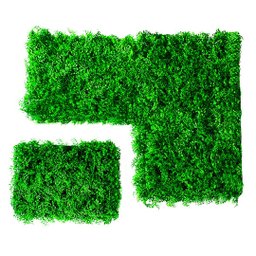 Placa Muro Samambaia Jardim Vertical Inglês - 1 Pç - 7