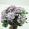 Kit 12 Plantas Kalanchoe Artificiais Jardim Flores Rosa 30cm - 2