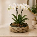 Ver imagem 4 de Vaso Baixo Cachepot Redondo Rústico Design Palhinha Treliça Rattan Sintético Prime 23cm - Mundial Ca