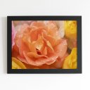 Ver imagem 1 de Quadro Rosa Laranja Fotografia Moldura Preta 60x40cm