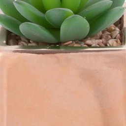 Suculenta com Vaso 10cm B - 4