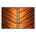 Ver imagem 1 de Kit com 2 Quadros Decorativos Florais com Moldura para Sala Quarto Escritório 62x823 Floral 026