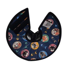 Colar Elizabetano Confort para Gatos - M - 3