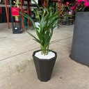 Ver imagem 2 de Vaso Planta 25x23 Oitavado Moderno Polietileno