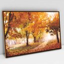 Ver imagem 1 de Quadro Decorativo em Canvas Outono TaColado Moldura Flutuante 4,5cm Freijó 120 x 80cm