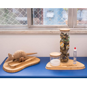 Ver imagem 3 de Pote De Vidro Hermético 2 Lts C/ Tampa 100% Bambu Mantimento