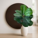 Ver imagem 7 de 9 Plantas Artificiais Ficus Lyrata Verdes 45cm para Vasos, Arranjos com Folhagem com Toque Natural
