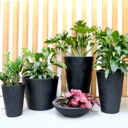 Vaso Terra Cone Fosco 55x46cm - Caixa Master 6 Unidades - 2