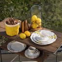Ver imagem 7 de Aparelho de Jantar 30 Peças Soleil Limoni Oxford Soleil Limoni 30 Peças