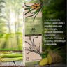 Incenso Natural Nirvana - Capim Limão com Gemgibre - Motivação e Criatividade - 2