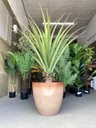Ver imagem 5 de Vaso para Plantas Grande Sala Jardim Alto Brilho (liso/bege)