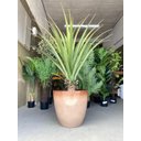 Ver imagem 5 de Vaso para Plantas Grande Sala Jardim Alto Brilho (liso/bege)