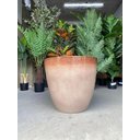 Ver imagem 6 de Vaso para Plantas Grande Sala Jardim Alto Brilho (liso/bege)