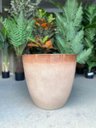 Ver imagem 3 de Vaso para Plantas Grande Sala Jardim Alto Brilho (liso/bege)