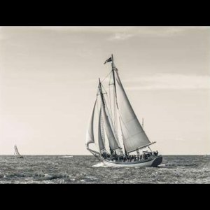 Ocean Schooner Canaleta 80x60cm Tabaco